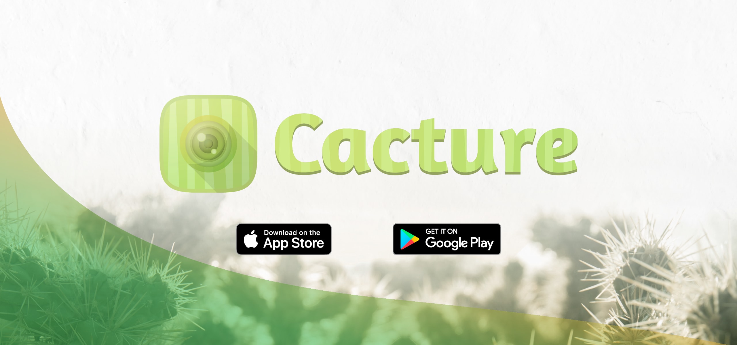 Cacture - download on app store